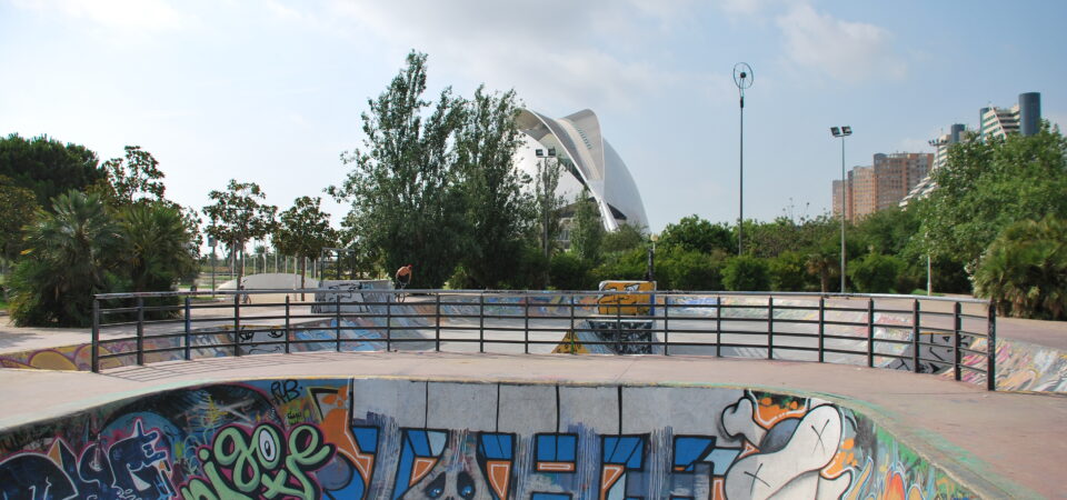 SkatePark (5)