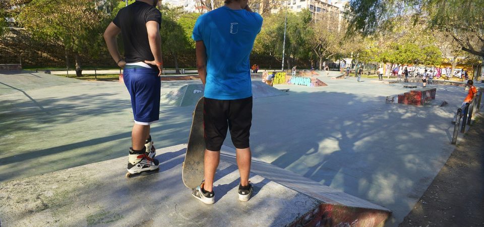 Pista Treetskate