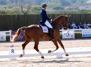 Feria del Caballo de Valencia