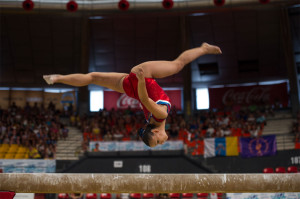 Campeonato de España de Gimnasia Artística, Valencia2013