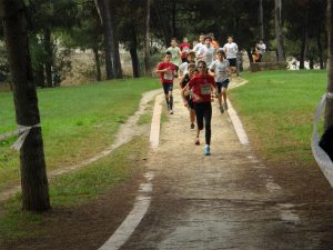 Cross escolar