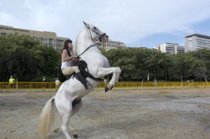 ValenciaCaballo, una completa oferta para todo el público en el tramo IX del Jardín del Turia