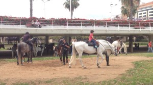 Parque del Caballo.