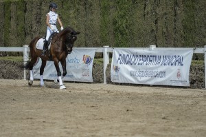 Fiecval. Cita fundamental del mundo del caballo en la Comunitat Valenciana