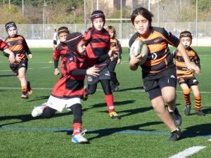 Les Abelles organiza de la cuarta edición del “Torneig d’Escoles Ciutat del Rugby de València”
