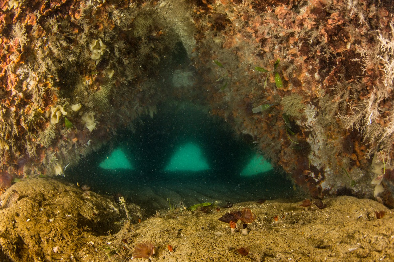 Arrecifes Malvarrosa