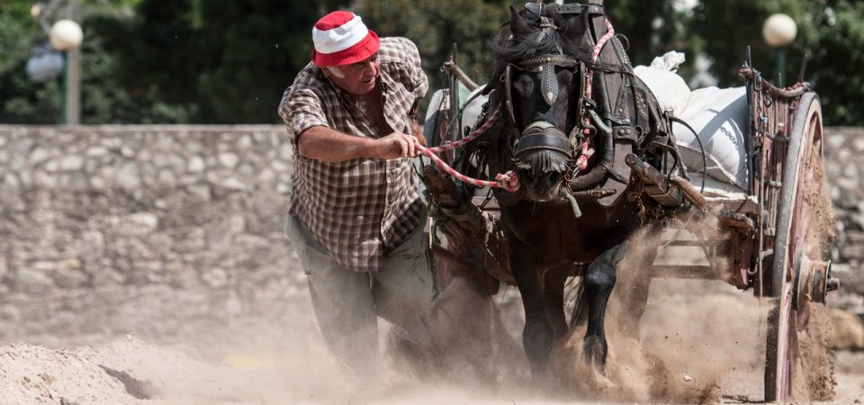 XII Concurs de Tir i Arrossegament “Ciutat de València”