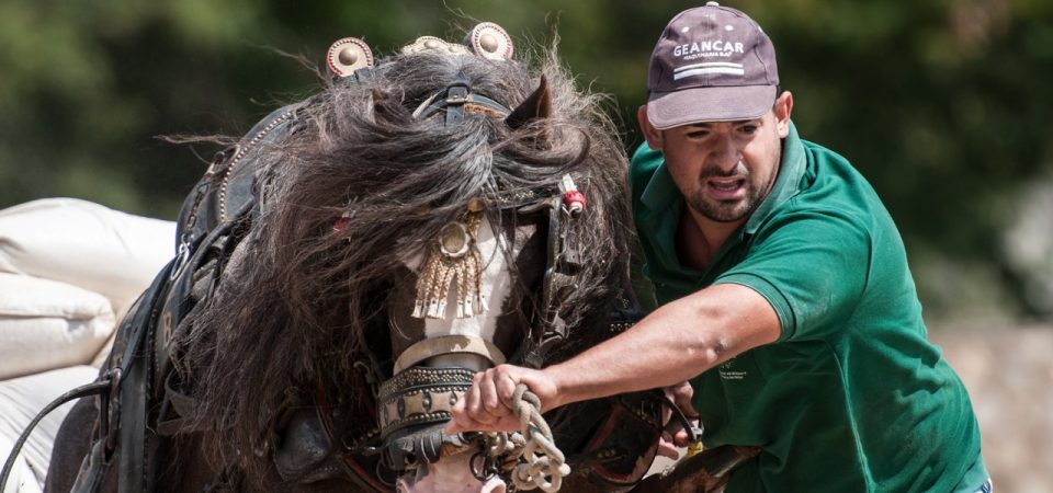 XII Concurs de Tir i Arrossegament “Ciutat de València”