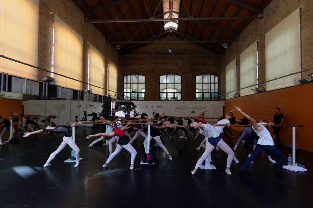 El Complex Esportiu Cultural Petxina se han convertido en el lugar idóneo para acoger a más de un centenar de jóvenes bailarines, llegados de todas partes del mundo, a un encuentro en el que pueden compartir la pasión que tienen en común, la danza.