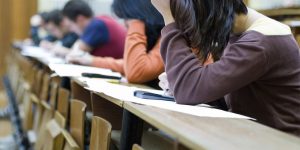 Empleo público. 5 plazas de director/a de instalación, mediante el sistema de concurso-oposición, 4 de ellas, por el sistema de promoción interna, y 1 por turno de acceso libre. Abierto el plazo de presentación de instancias