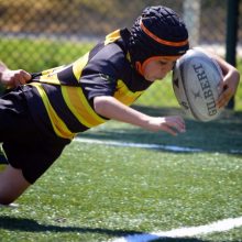4t Torneig Internacional de Rugbi Infantil ‘Pantera’ 4t Torneig Internacional de Rugbi Infantil ‘Pantera’