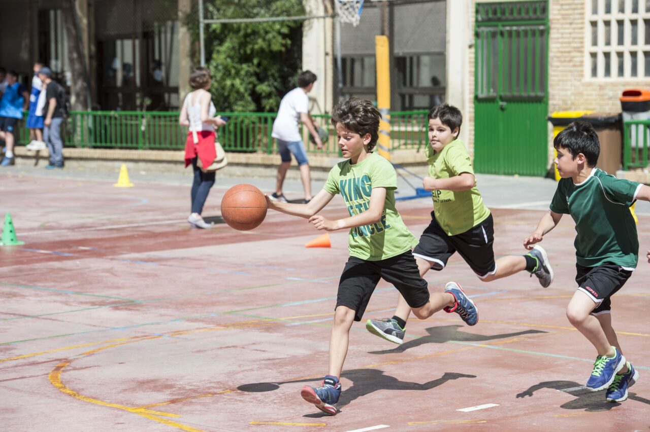 Les alumnes i alumnes ja poden inscriure's en alguna de les 28 disciplines esportives