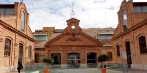Autoritzacions Demanials. Llistats provisionals d’entitats esportives admeses i excloses. Obert el termini d’esmena