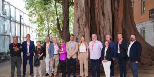 València celebra el seu llegat històric: Les Corts aproven el 15 de maig com a Dia dels Escacs en la Comunitat Valenciana