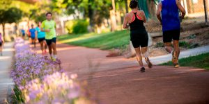 L’Ajuntament de València aprova l’ampliació del Circuit de Running al Jardí del Túria per a fomentar la pràctica esportiva i el benestar social