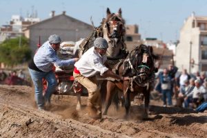 Tiro y arrastre en Valencia