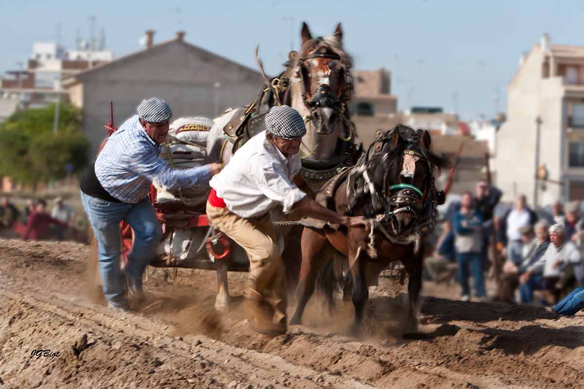 Tiro y arrastre en Valencia