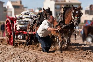 Tir y arrosegament_4