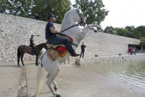 Ruta ecuestre_4