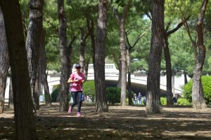 Trailrunning