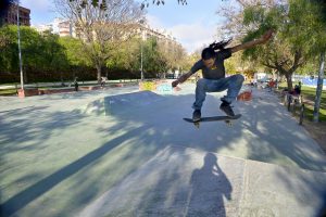 Pista Treetskate