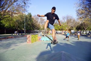 Pista Treetskate