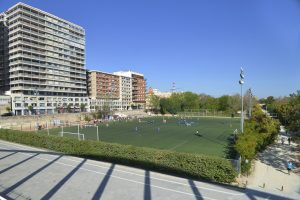Campo de Futbol 11