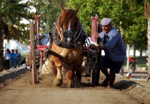 Tir y arrosegament_5