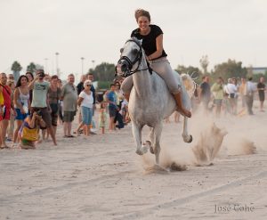 caballos_1