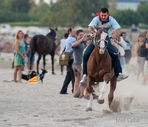 caballos_3