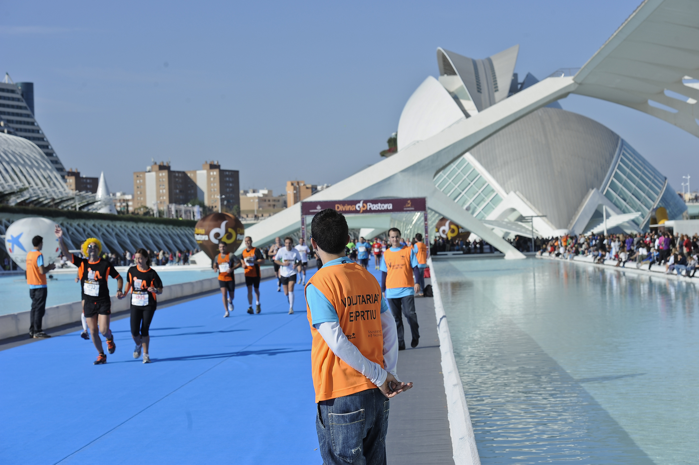 Voluntario Divina Pastora Valencia