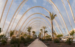 L'umbracle 1 CAC
