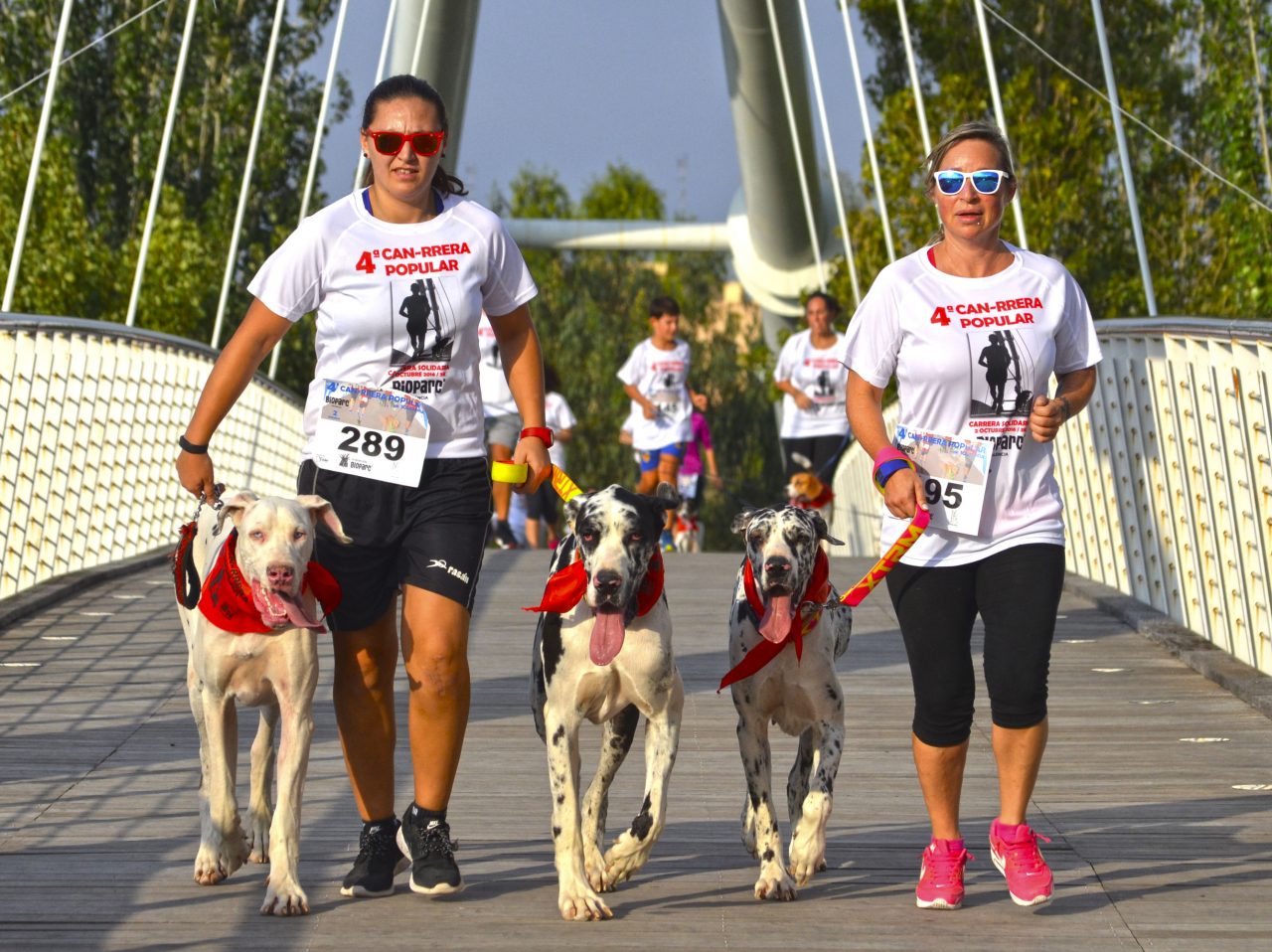 La 4ª Canrrera solidaria Bioparc reúne a 900 participantes formando