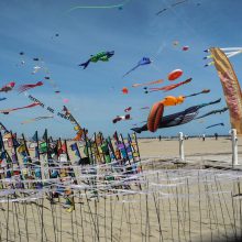 XXV Festival de Cometas de València