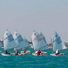 OptiOrange València 2026