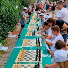 I Torneig Escolar “Mossèn Fenollar” I Torneig Escolar “Mossèn Fenollar”