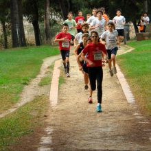 Cross Escolar Individual Municipal de València 2026